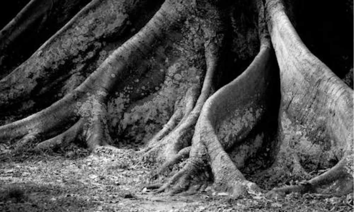 Grounding: la técnica sencilla para reconectar con tu cuerpo y calmar tu mente.