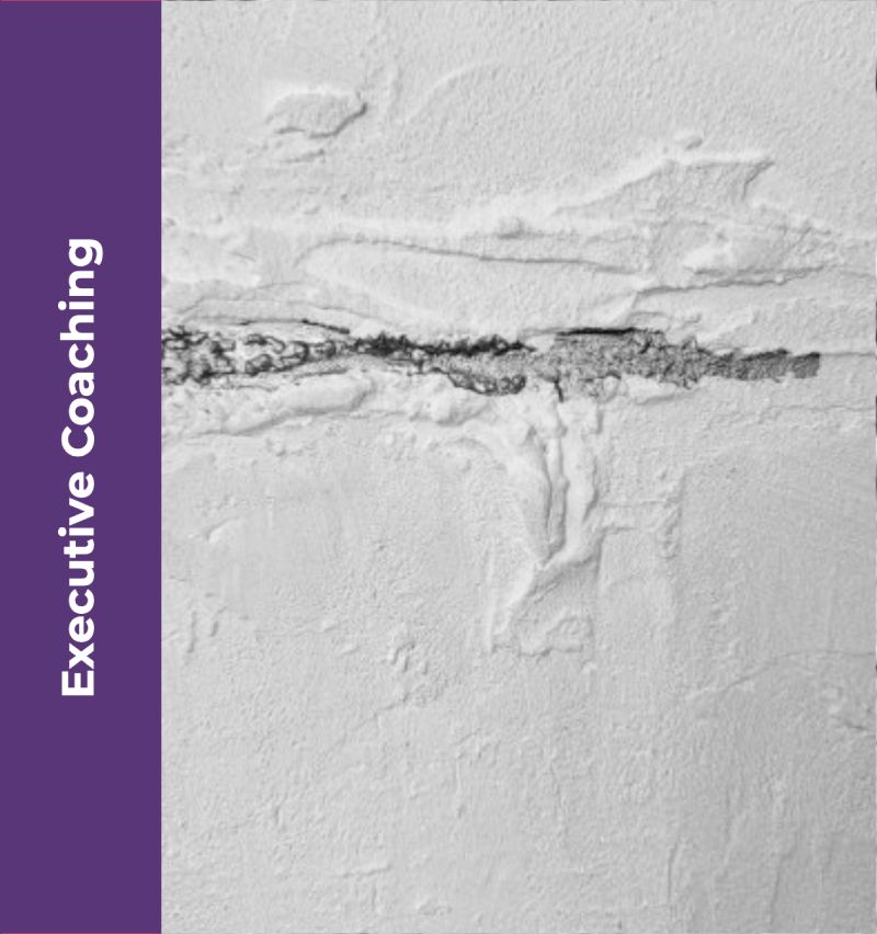 Coaching Ejecutivo